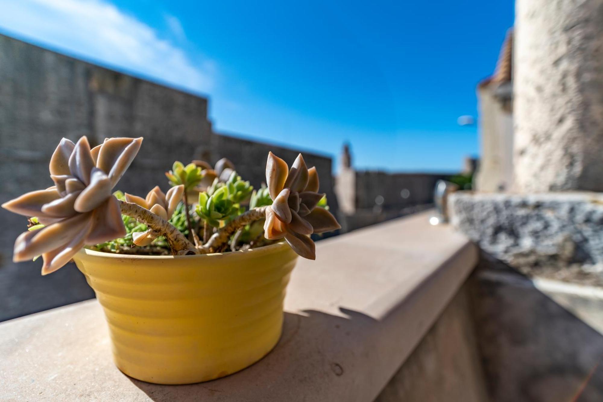 Villa Ragusa Vecchia Екстер'єр фото