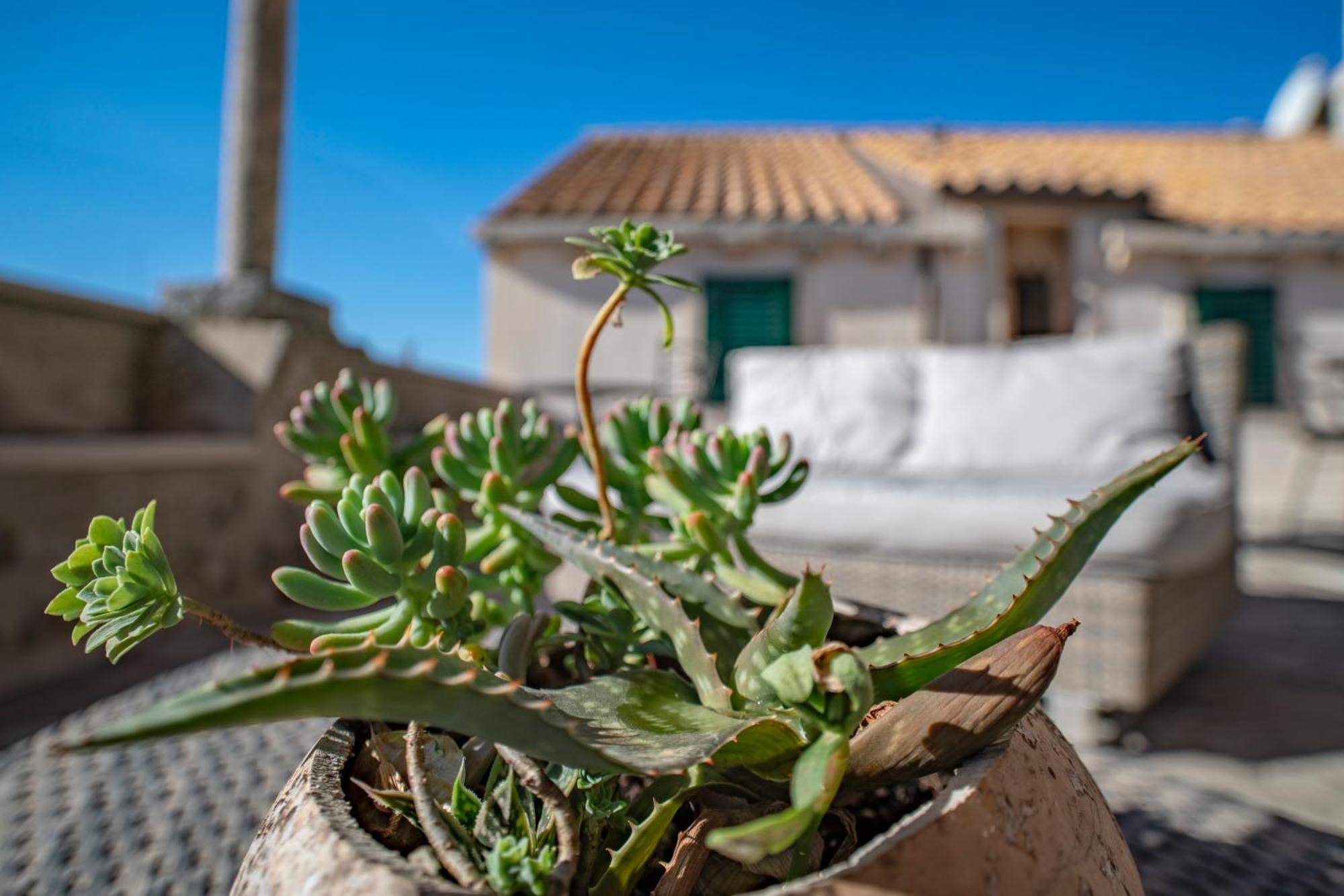 Villa Ragusa Vecchia Екстер'єр фото